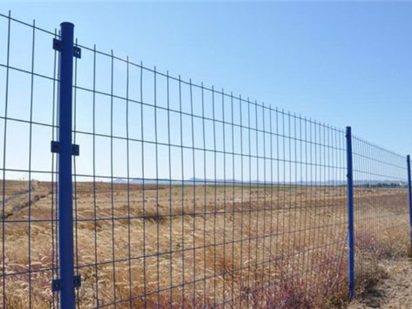  包塑护栏网批发